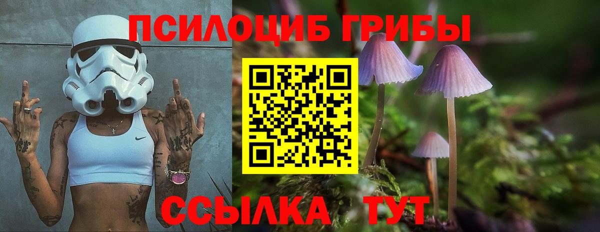 Псилоцибиновые грибы прущие грибы Тольятти