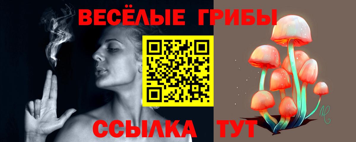 Тольятти  Псилоцибиновые грибы Magic Shrooms  Вход с VPN 